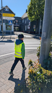 Fussgangerfuhrerschein   tn